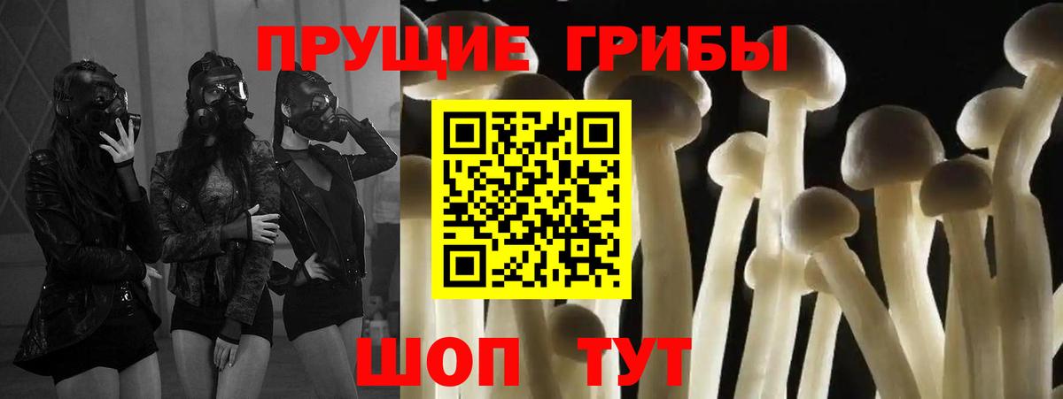 Галлюциногенные грибы Psilocybe Симферополь